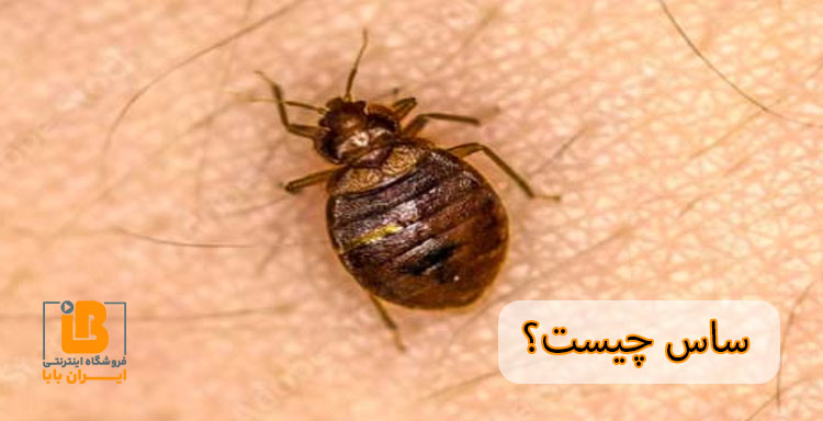 ساس چیست